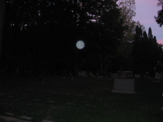 picture with orb